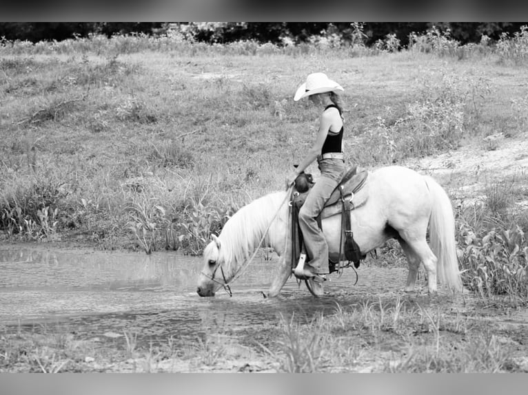 Quarter Pony Castrone 12 Anni 127 cm Palomino in Carthage, TX