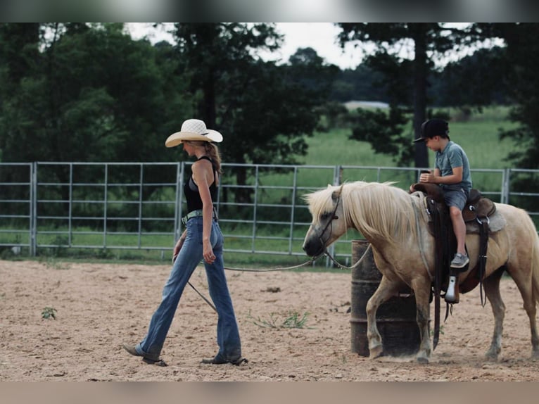 Quarter Pony Castrone 12 Anni 127 cm Palomino in Carthage, TX