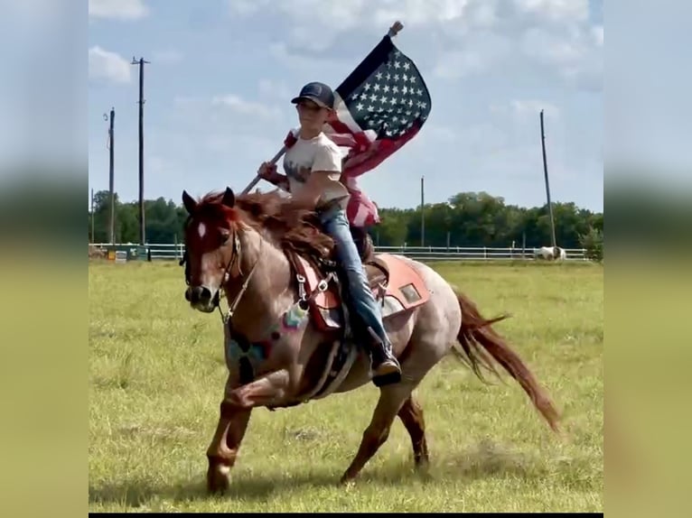 Quarter Pony Castrone 12 Anni 135 cm Roano rosso in Weatherford