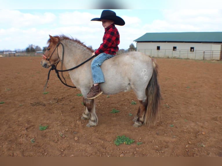 Quarter Pony Castrone 7 Anni 99 cm Roano rosso in Huntland, TN