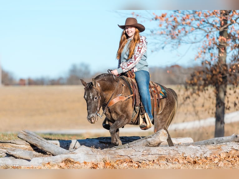 Quarter Pony Castrone 8 Anni 122 cm in Lewistown