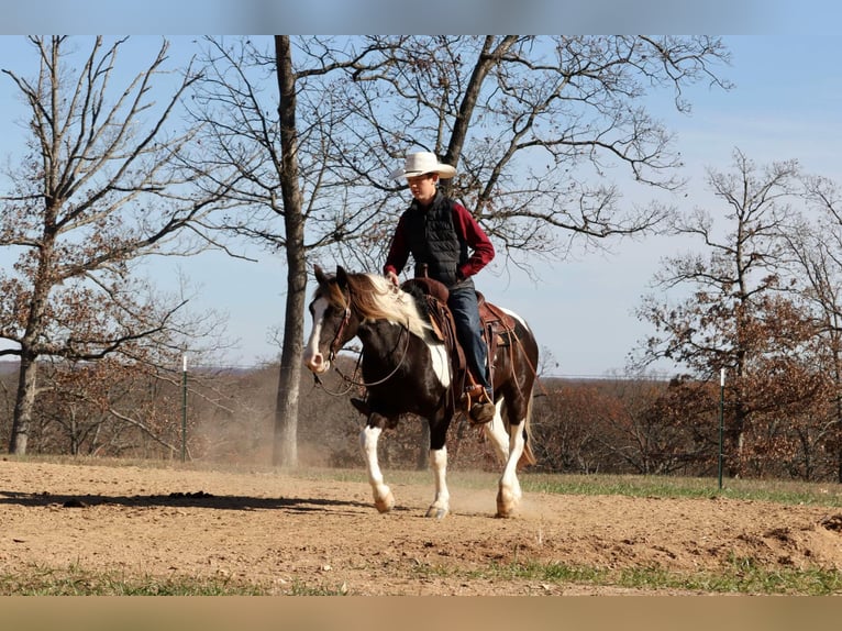 Quarter Pony Castrone 8 Anni 130 cm Pezzato in Mount Vernon