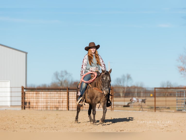 Quarter Pony Castrone 9 Anni 122 cm in Lewistown