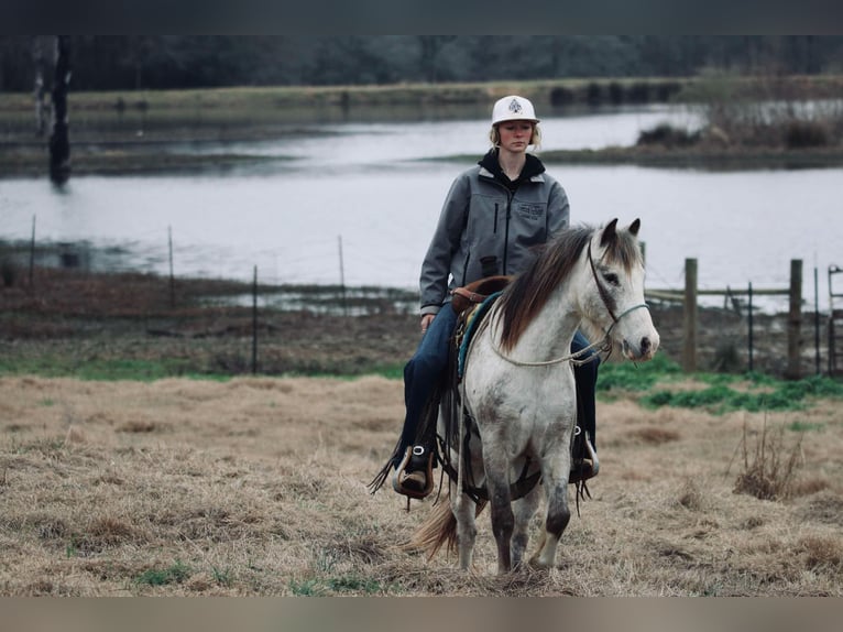 Quarter Pony Gelding 12 years 12 hh in Carthage, TX