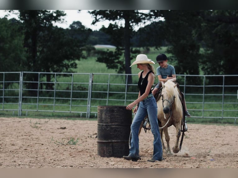 Quarter Pony Gelding 12 years 12,2 hh Palomino in Carthage, TX