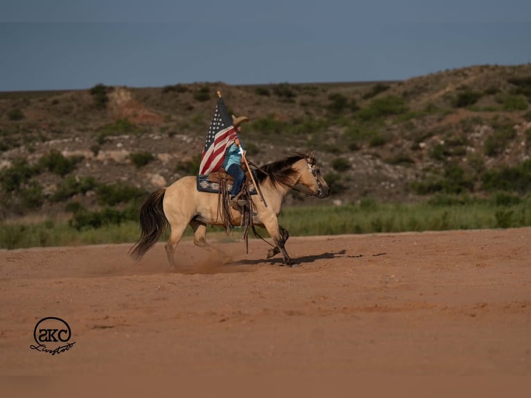 Quarter Pony Giumenta 11 Anni 132 cm Pelle di daino in Canyon
