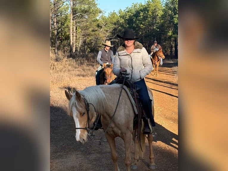 Quarter Pony Giumenta 4 Anni 142 cm Palomino in Antlers