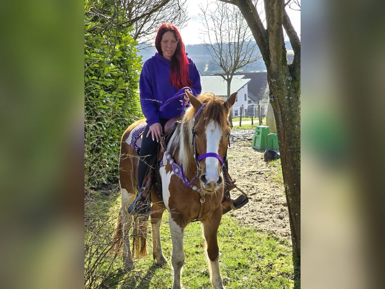 Quarter Pony Giumenta 4 Anni Pezzato in Linkenbach