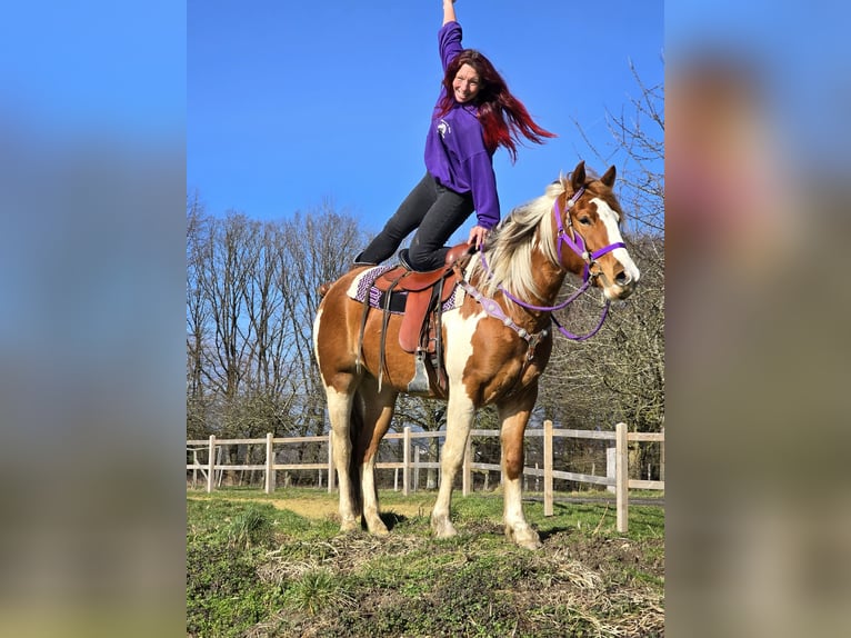 Quarter Pony Giumenta 4 Anni Pezzato in Linkenbach