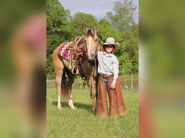 Quarter Pony Giumenta 5 Anni Pelle di daino in Culleoka