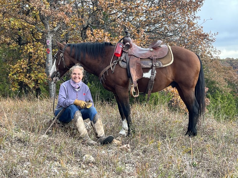 Quarter pony Hongre 10 Ans 140 cm Bai cerise in Grand Island