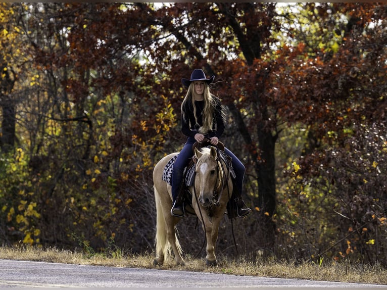 Quarter pony Hongre 13 Ans 122 cm Palomino in Nevis, MN