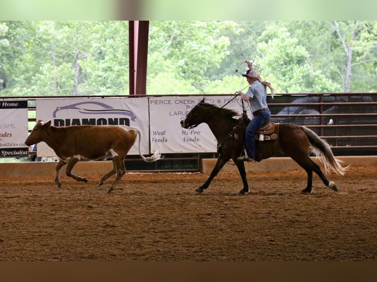Quarter pony Hongre 9 Ans 142 cm Bai cerise in Athens