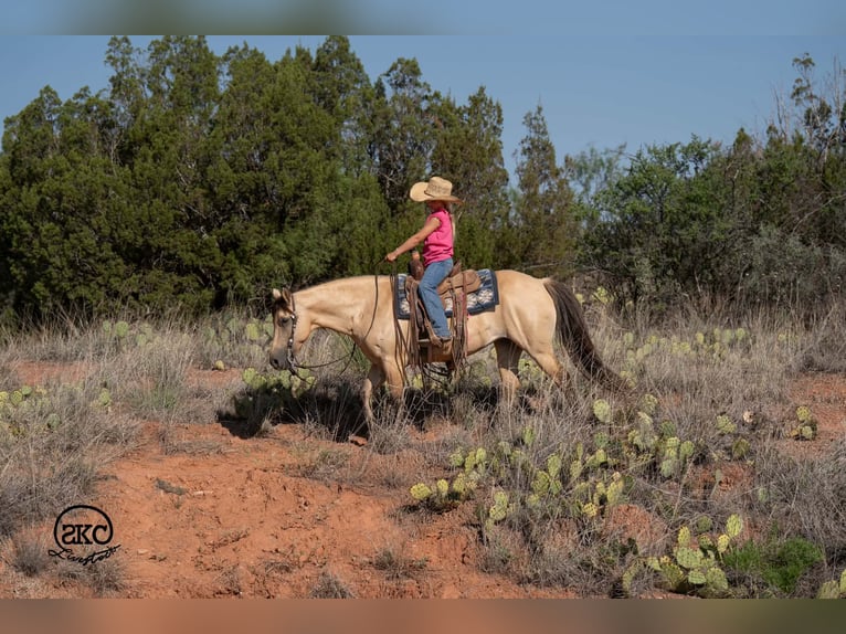 Quarter pony Jument 11 Ans 132 cm Buckskin in Canyon
