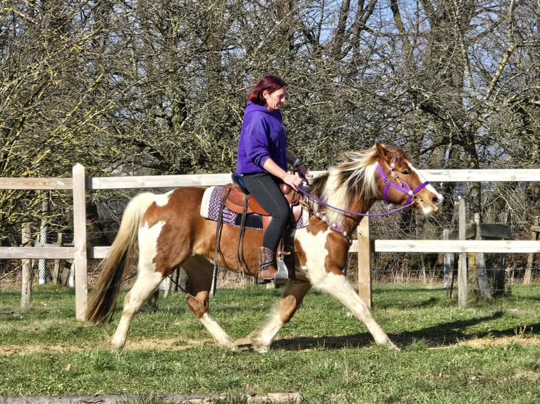 Quarter pony Jument 4 Ans Pinto in Linkenbach