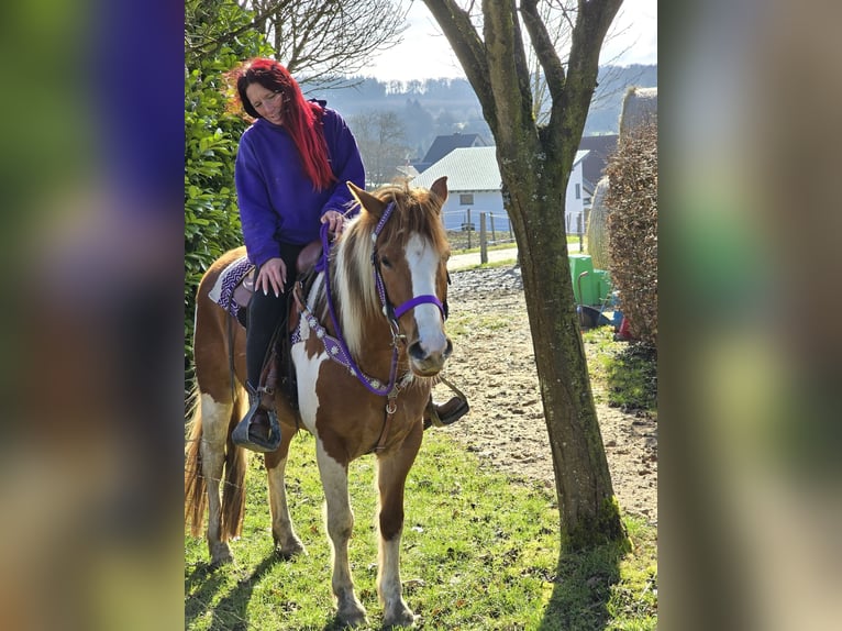 Quarter pony Jument 4 Ans Pinto in Linkenbach