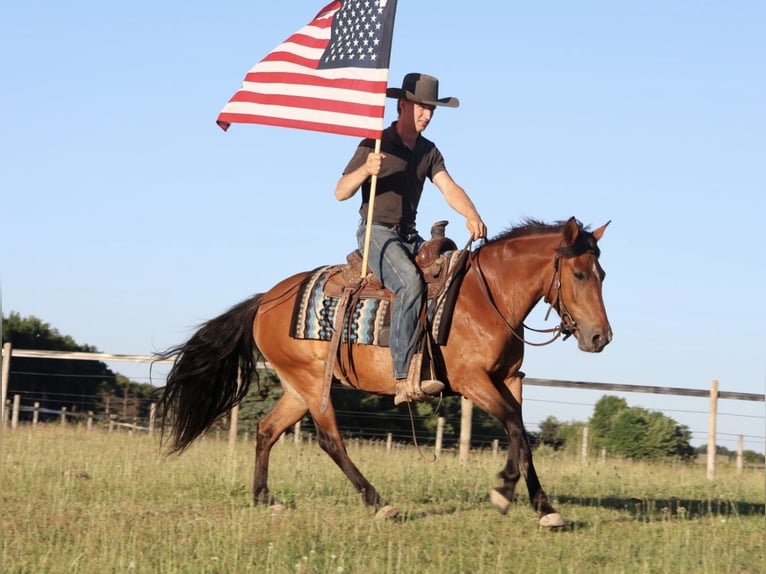 Quarter Pony Klacz 6 lat Gniada in Webberville