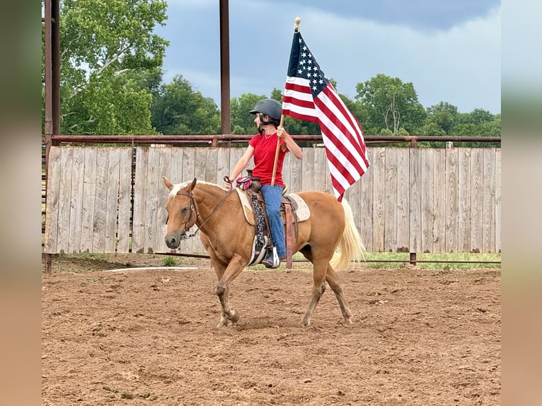 Quarter Pony Mare 10 years Palomino in Weatherford