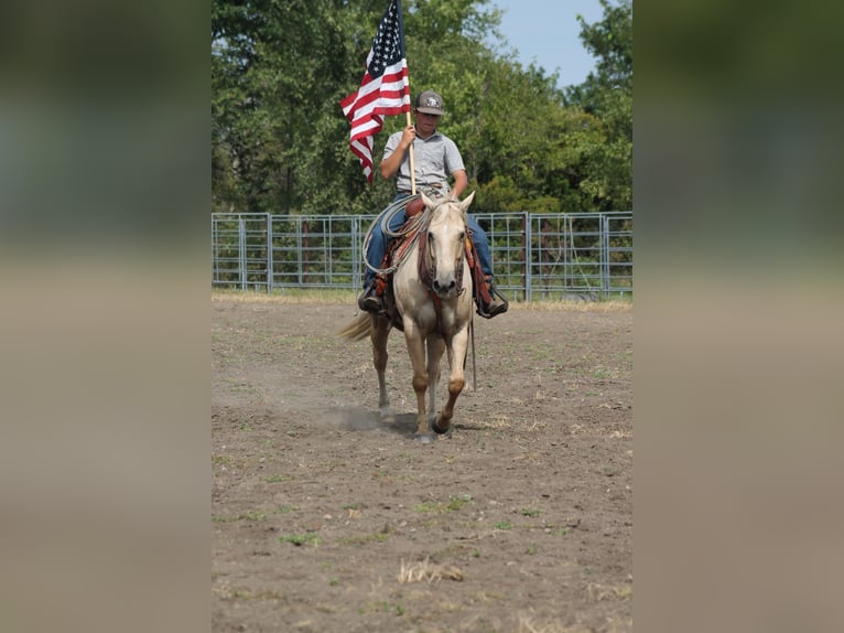 Quarter Pony Merrie 10 Jaar 145 cm Palomino in Plano