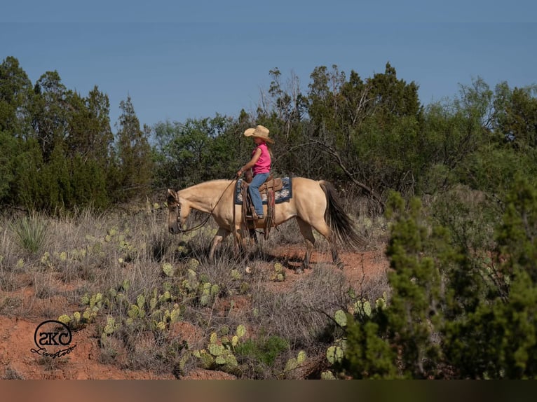 Quarter Pony Merrie 11 Jaar 132 cm Buckskin in Canyon