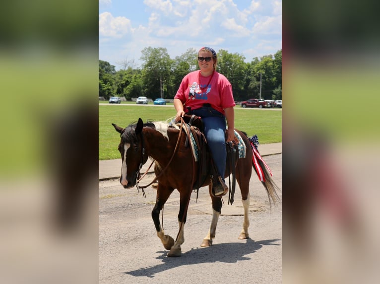 Quarter Pony Merrie 12 Jaar 137 cm in Falmouth, KY