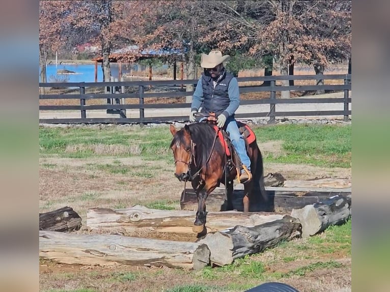 Quarter Pony Merrie 12 Jaar 140 cm Roodbruin in Robards