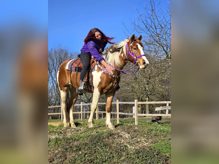 Quarter Pony Merrie 4 Jaar Gevlekt-paard in Linkenbach
