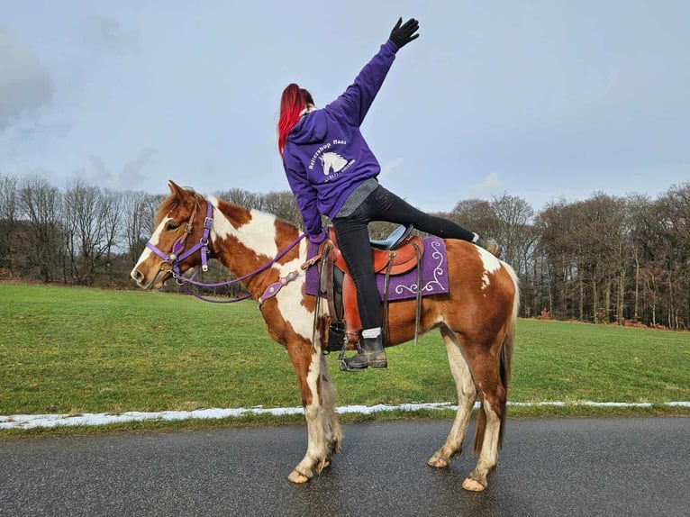 Quarter Pony Merrie 4 Jaar Gevlekt-paard in Linkenbach