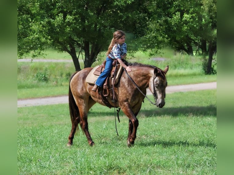 Quarter Pony Merrie 5 Jaar Buckskin in Carthage, TX