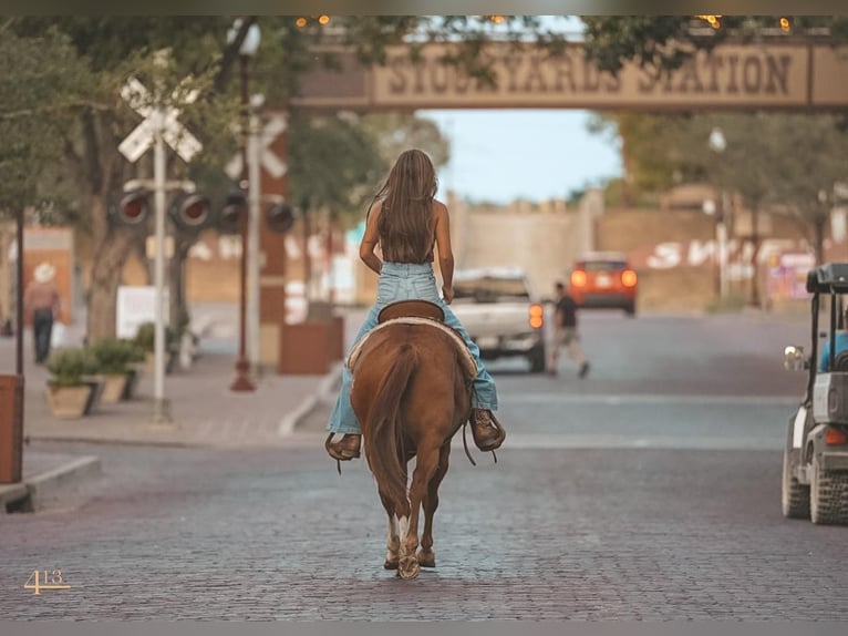 Quarter Pony Merrie 8 Jaar 127 cm Roodvos in Tolar, TX