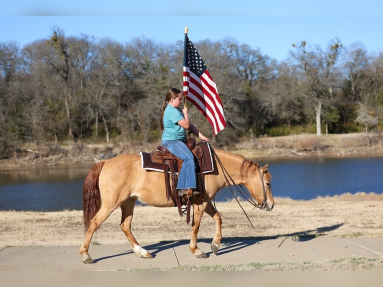 Quarter Pony Merrie 8 Jaar 132 cm Red Dun in Forney