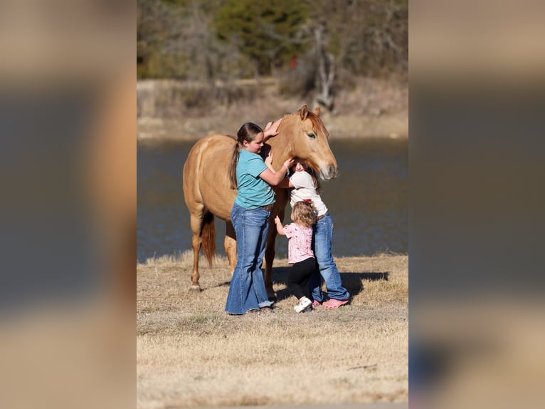 Quarter Pony Merrie 8 Jaar 132 cm Red Dun in Forney