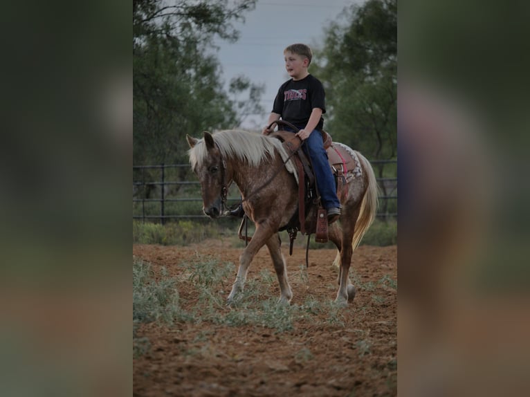 Quarter Pony Ruin 11 Jaar 130 cm Roodvos in Granbury