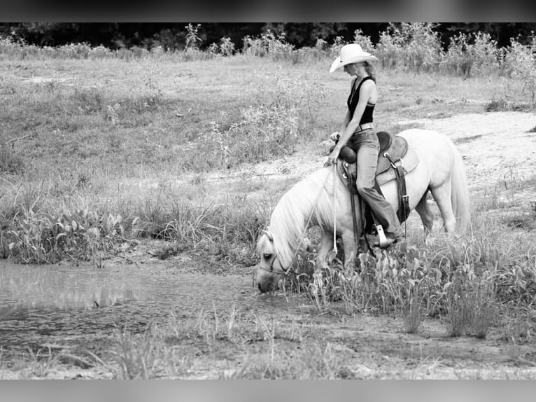 Quarter Pony Ruin 12 Jaar 127 cm Palomino in Carthage, TX