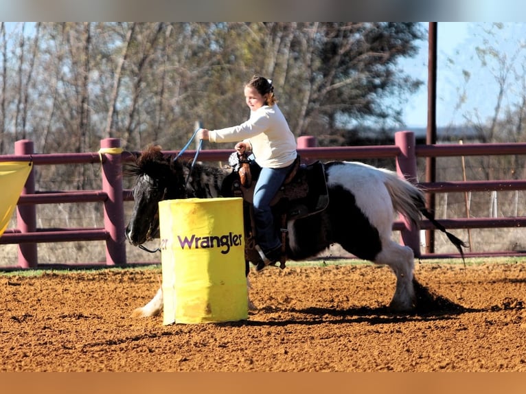 Quarter Pony Ruin 19 Jaar 132 cm Gevlekt-paard in Forney