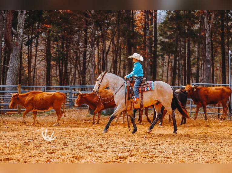 Quarter Pony Ruin 7 Jaar 132 cm Buckskin in Lyles