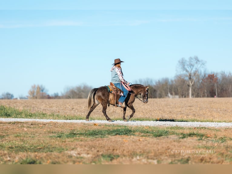 Quarter Pony Ruin 8 Jaar 122 cm in Lewistown