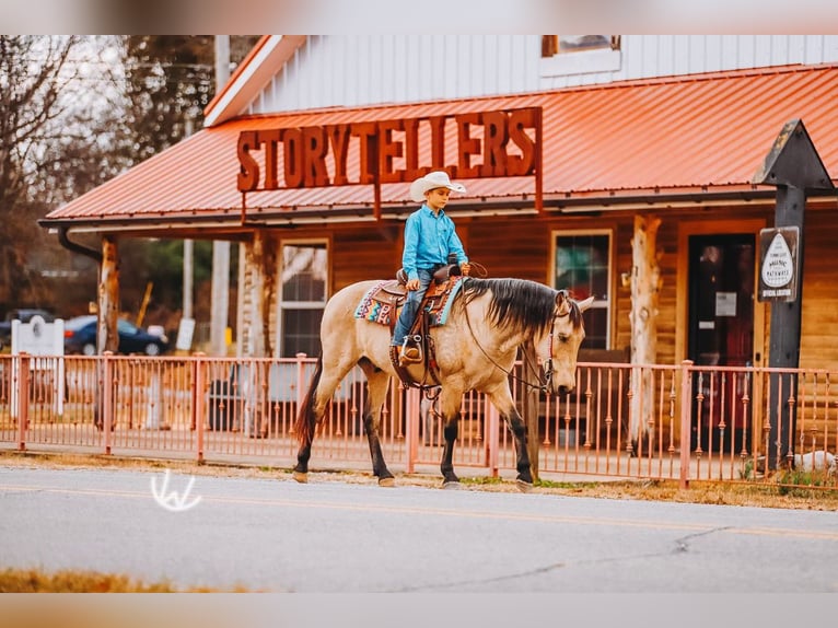 Quarter Pony Ruin 8 Jaar 132 cm Buckskin in Lyles