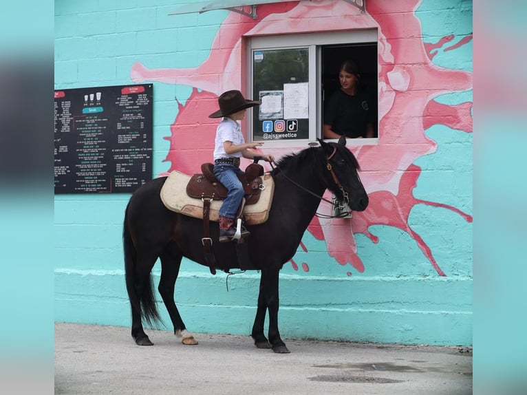 Quarter Pony Ruin 9 Jaar 130 cm Zwart in Grand Saline