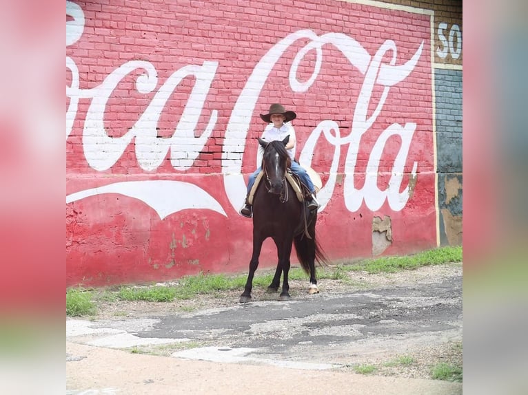 Quarter Pony Ruin 9 Jaar 130 cm Zwart in Grand Saline