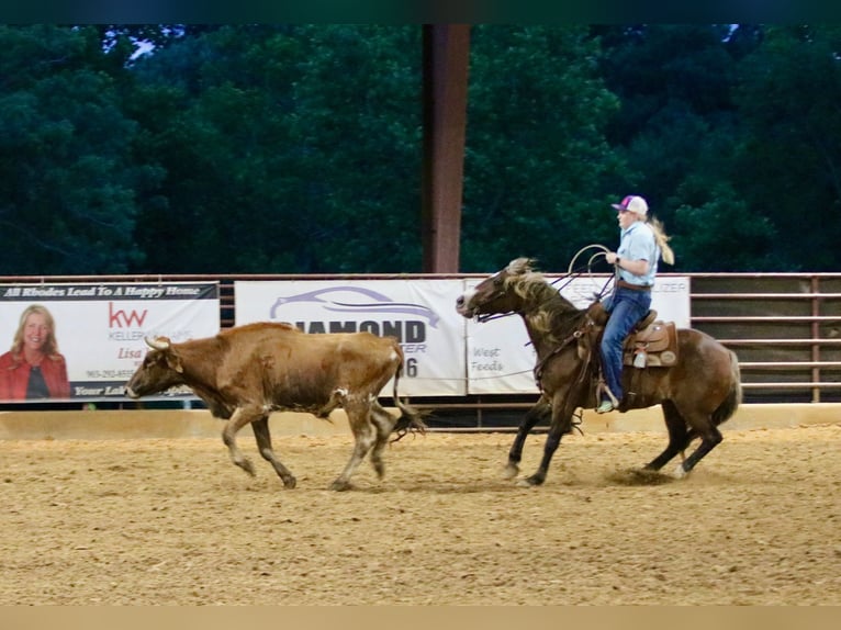 Quarter Pony Ruin 9 Jaar 142 cm Roodbruin in Athens