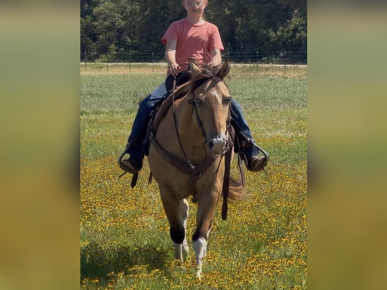 Quarter Pony Ruin 9 Jaar Gevlekt-paard in Cisco