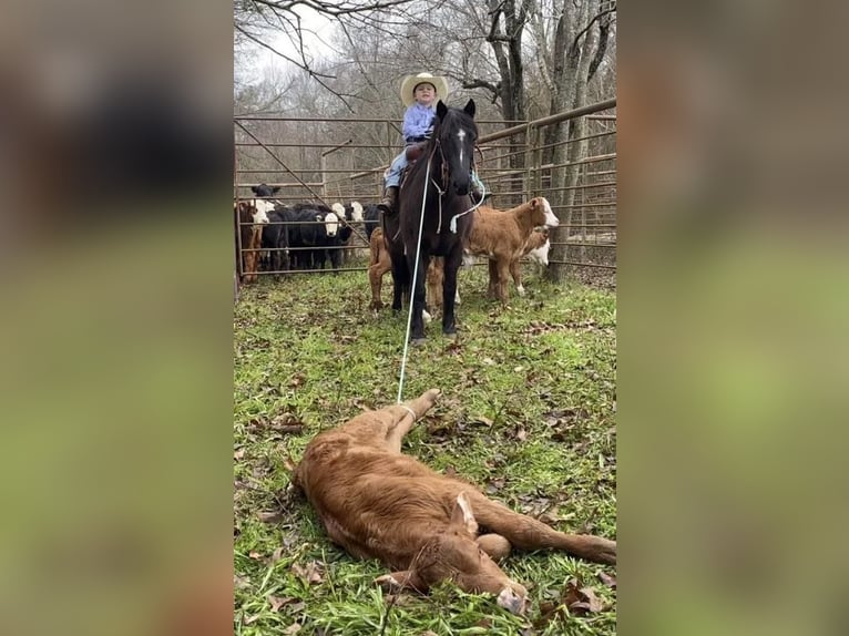 Quarter Pony Wałach 9 lat 130 cm Kara in Grand Saline