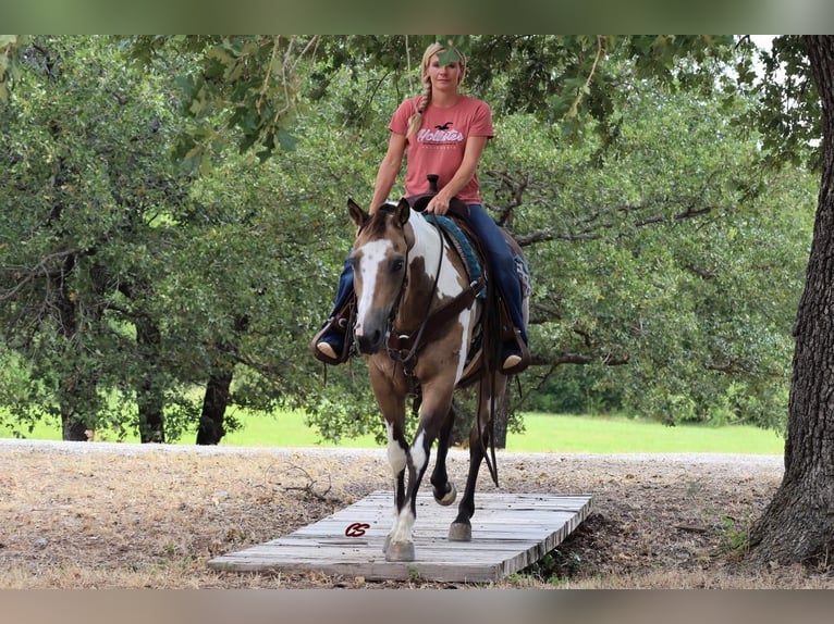 Quarterhäst Sto 9 år 152 cm Gulbrun in Jacksboro, TX