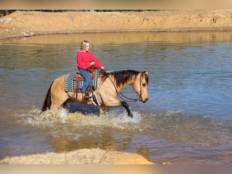 Quarterhäst Valack 10 år 152 cm Gulbrun in Joshua, TX