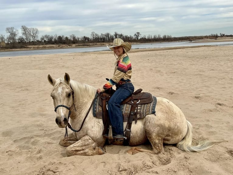 Quarterhäst Valack 11 år Palomino in Ravenna, TX