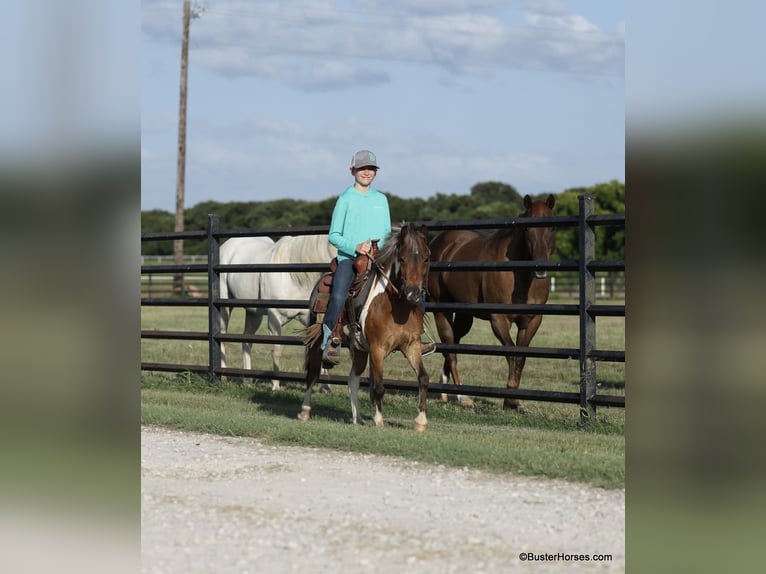 Quarterhäst Valack 7 år 109 cm Tobiano-skäck-alla-färger in Weatherford TX