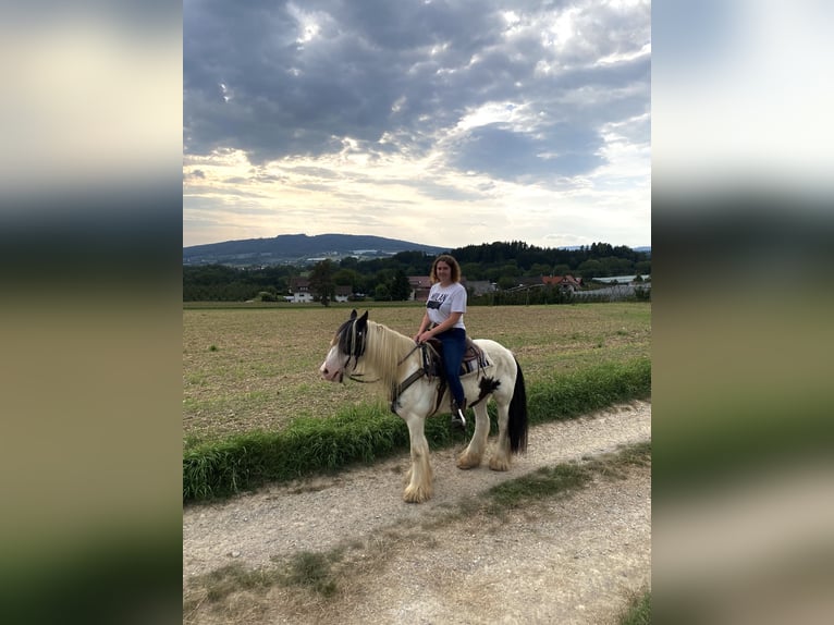 Reitbeteiligung 88074 Reitbeteiligung 88074