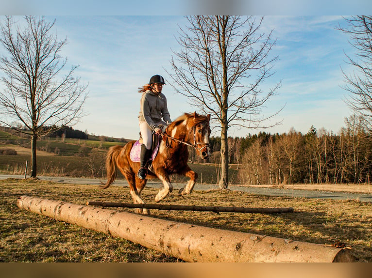 Reitbeteiligung gesucht (Reiter sucht Pferd)