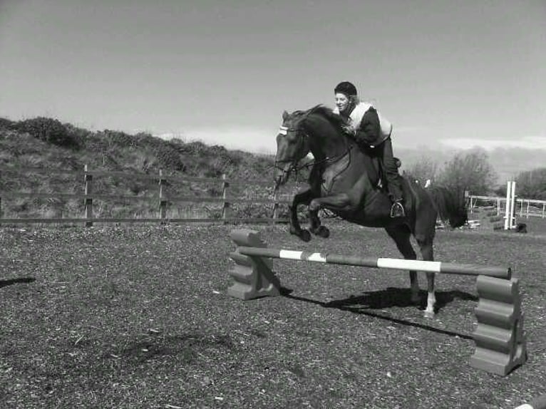 Reitbeteiligung gesucht – erfahrene Reiterin möchte wieder durchstarten